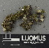  ( - H9243067)  @11 [ ] by-nc (2024) Erkka Laine Luomus
