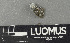  ( - H9243343)  @11 [ ] by-nc (2024) Erkka Laine Luomus