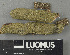  ( - H9243437)  @11 [ ] by-nc (2024) Erkka Laine Luomus