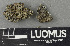  ( - H9243344)  @11 [ ] by-nc (2024) Erkka Laine Luomus