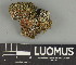  ( - H9247434)  @11 [ ] by-nc (2025) Erkka Laine Luomus