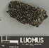  ( - H9247661)  @11 [ ] by-nc (2025) Erkka Laine Luomus