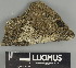  ( - H9247438)  @11 [ ] by-nc (2025) Erkka Laine Luomus