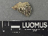  ( - H9243263)  @11 [ ] by-nc (2024) Erkka Laine Luomus