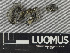  ( - H9243170)  @11 [ ] by-nc (2024) Erkka Laine Luomus