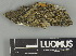  ( - H9237633.1)  @11 [ ] by-nc (2025) Erkka Laine Luomus