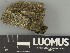  ( - H9247364)  @11 [ ] by-nc (2025) Erkka Laine Luomus