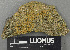  ( - H9243638)  @11 [ ] by-nc (2024) Erkka Laine Luomus
