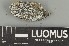 ( - H9247366)  @11 [ ] by-nc (2025) Erkka Laine Luomus