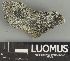  ( - H9247506)  @11 [ ] by-nc (2025) Erkka Laine Luomus