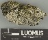  ( - H9247769)  @11 [ ] by-nc (2025) Erkka Laine Luomus