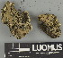  ( - H9247443)  @11 [ ] by-nc (2025) Erkka Laine Luomus