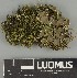  ( - H9247369)  @11 [ ] by-nc (2025) Erkka Laine Luomus