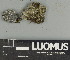  ( - H9247509)  @11 [ ] by-nc (2025) Erkka Laine Luomus
