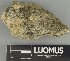  ( - H9247370)  @11 [ ] by-nc (2025) Erkka Laine Luomus