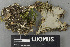  ( - H9243455)  @11 [ ] by-nc (2024) Erkka Laine Luomus