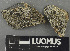  ( - H9243180)  @11 [ ] by-nc (2024) Erkka Laine Luomus