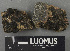  ( - H9243181)  @11 [ ] by-nc (2024) Erkka Laine Luomus