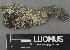  ( - H9243183)  @11 [ ] by-nc (2024) Erkka Laine Luomus