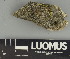  ( - H9247448)  @11 [ ] by-nc (2025) Erkka Laine Luomus