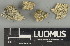  ( - H9247450)  @11 [ ] by-nc (2025) Erkka Laine Luomus