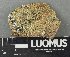  ( - H9243464)  @11 [ ] by-nc (2024) Erkka Laine Luomus