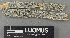  ( - H9243558)  @11 [ ] by-nc (2024) Erkka Laine Luomus