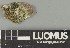  ( - H9247377)  @11 [ ] by-nc (2025) Erkka Laine Luomus