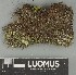  ( - H9247783)  @11 [ ] by-nc (2025) Erkka Laine Luomus