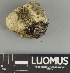  ( - H9247522)  @11 [ ] by-nc (2025) Erkka Laine Luomus