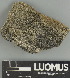  ( - H9237639.1)  @11 [ ] by-nc (2025) Erkka Laine Luomus