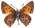  ( - AP-690)  @11 [ ] by-nc (2022) Pasi Sihvonen University of Helsinki