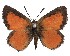  ( - AP-737)  @11 [ ] by-nc (2022) Pasi Sihvonen University of Helsinki