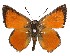  ( - AP-792)  @11 [ ] by-nc (2022) Pasi Sihvonen University of Helsinki