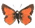  ( - AP-794)  @11 [ ] by-nc (2022) Pasi Sihvonen University of Helsinki