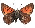  ( - AP-794)  @11 [ ] by-nc (2022) Pasi Sihvonen University of Helsinki