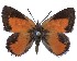  ( - AP-796)  @11 [ ] by-nc (2022) Pasi Sihvonen University of Helsinki