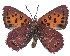  ( - AP-797)  @11 [ ] by-nc (2022) Pasi Sihvonen University of Helsinki