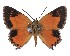  ( - AP-804)  @11 [ ] by-nc (2022) Pasi Sihvonen University of Helsinki