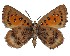  ( - AP-857)  @11 [ ] by-nc (2022) Pasi Sihvonen University of Helsinki