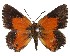  ( - AP-858)  @11 [ ] by-nc (2022) Pasi Sihvonen University of Helsinki
