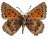  ( - AP-858)  @11 [ ] by-nc (2022) Pasi Sihvonen University of Helsinki