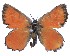  ( - AP-866)  @11 [ ] by-nc (2022) Pasi Sihvonen University of Helsinki