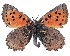  ( - AP-866)  @11 [ ] by-nc (2022) Pasi Sihvonen University of Helsinki