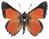  ( - AP-867)  @11 [ ] by-nc (2022) Pasi Sihvonen University of Helsinki