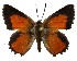  ( - AP-891)  @11 [ ] by-nc (2022) Pasi Sihvonen University of Helsinki