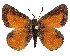  ( - AP-899)  @11 [ ] by-nc (2022) Pasi Sihvonen University of Helsinki
