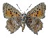  ( - AP-933)  @11 [ ] by-nc (2022) Pasi Sihvonen University of Helsinki