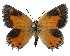  ( - AP-934)  @11 [ ] by-nc (2022) Pasi Sihvonen University of Helsinki