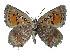  ( - AP-934)  @11 [ ] by-nc (2022) Pasi Sihvonen University of Helsinki